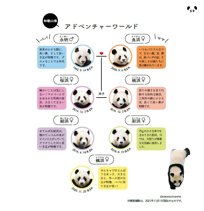 アドベンチャーワールド　パンダ　家系図