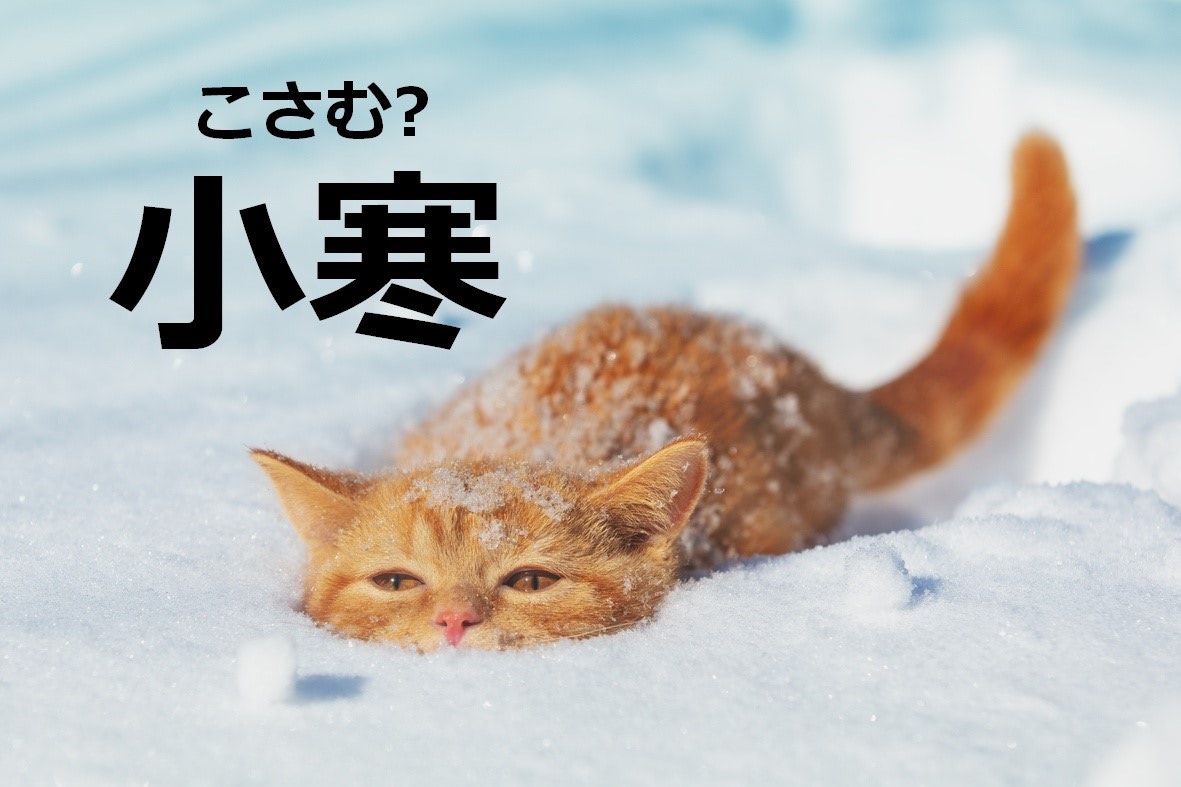 【小寒】なんて読む？【ママが読めないと恥ずかしい漢字クイズ】