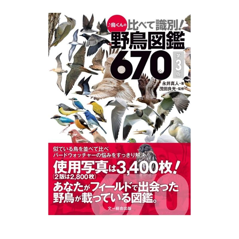 野鳥図鑑 おすすめ