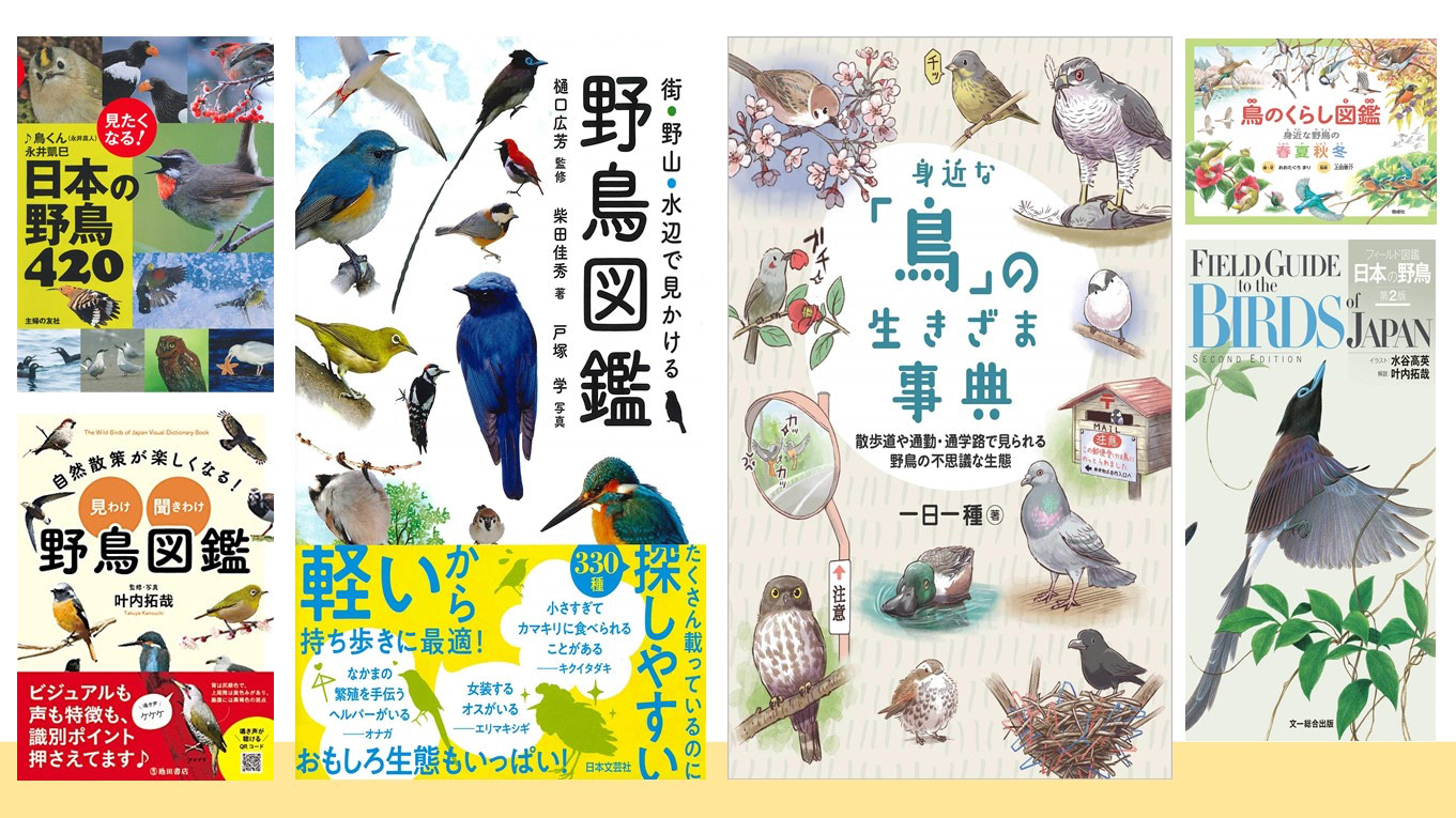 【2022最新】野鳥図鑑のおすすめ17選！鳥の見分け方やおもしろいトリビアで知識を深めよう！