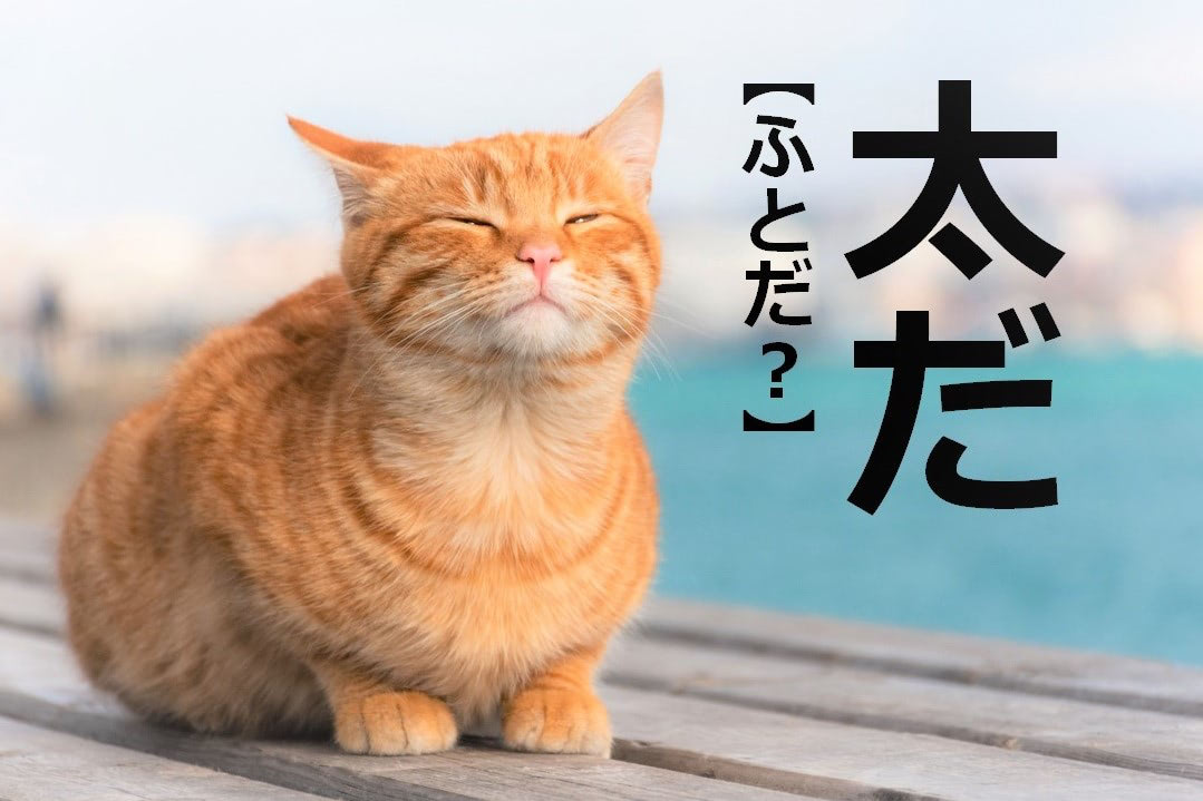 【太だ】なんて読む？【読めないと恥ずかしい漢字クイズ】