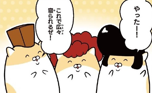 3匹3様！新しい寝床でひろびろ寝るはずが、やっぱり&hellip;♡【ヤンキーハムスター】