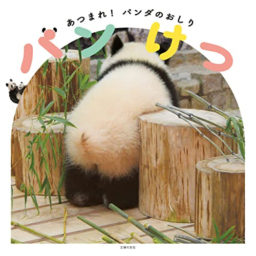 パンダ　おしり