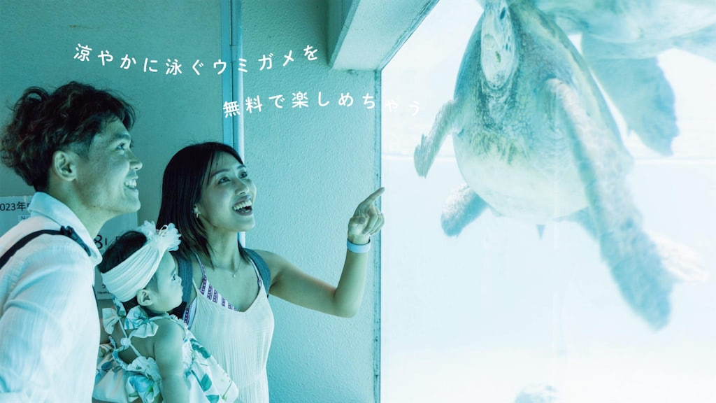 ウミガメ館の写真