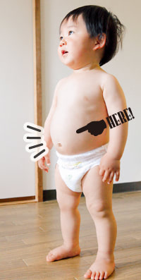 おなかがぽっこり　画像