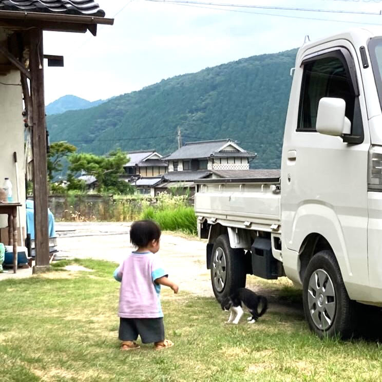 夏の思い出