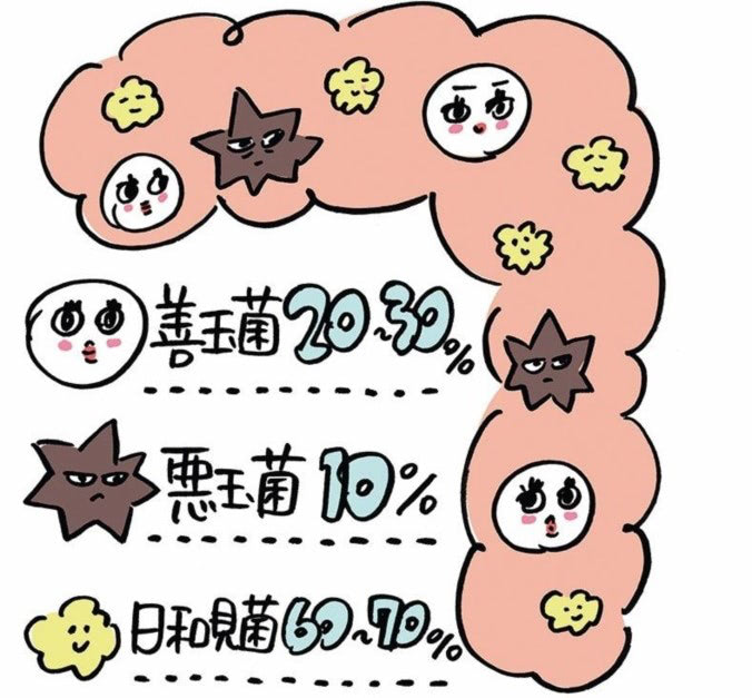 腸内細菌　イラスト