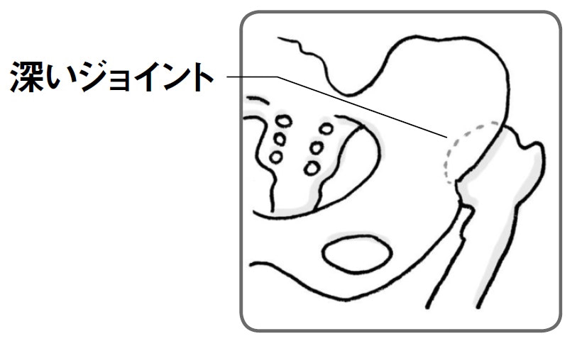 赤ちゃん　股関節