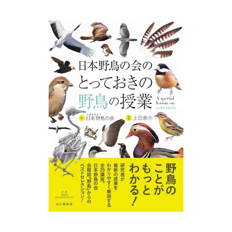 野鳥図鑑 おすすめ