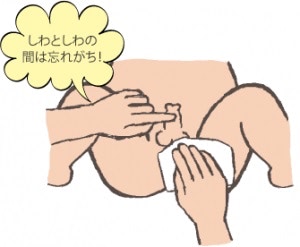 おちんちん　拭き方