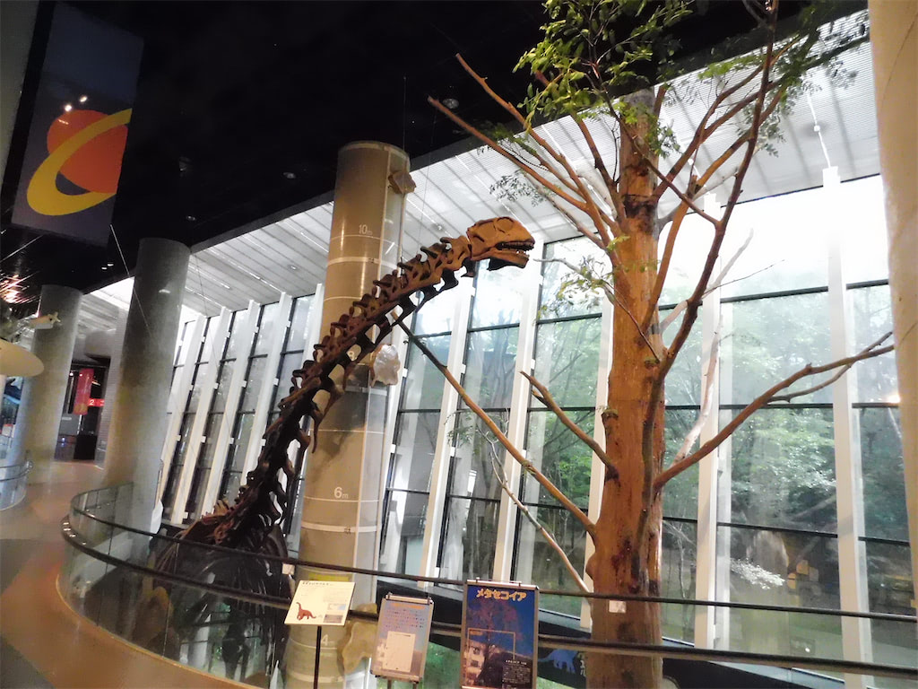 ミュージアムパーク茨城県自然博物館_シンボル展示「ヌオエロサウルスとメタセコイア」