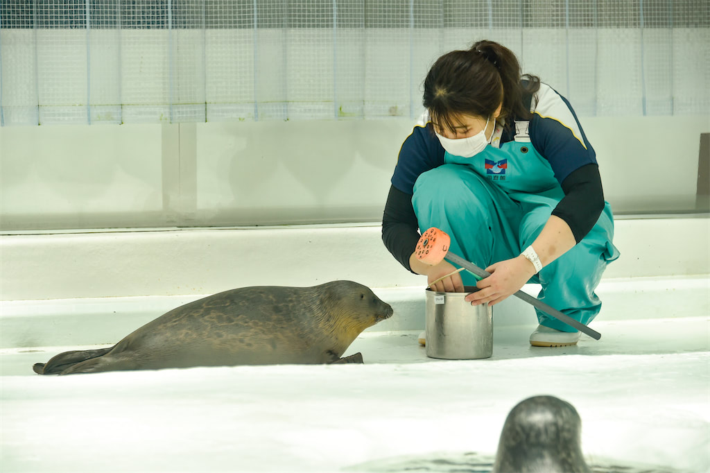 動物 赤ちゃん