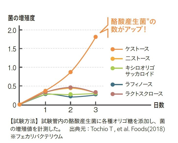 ケストース