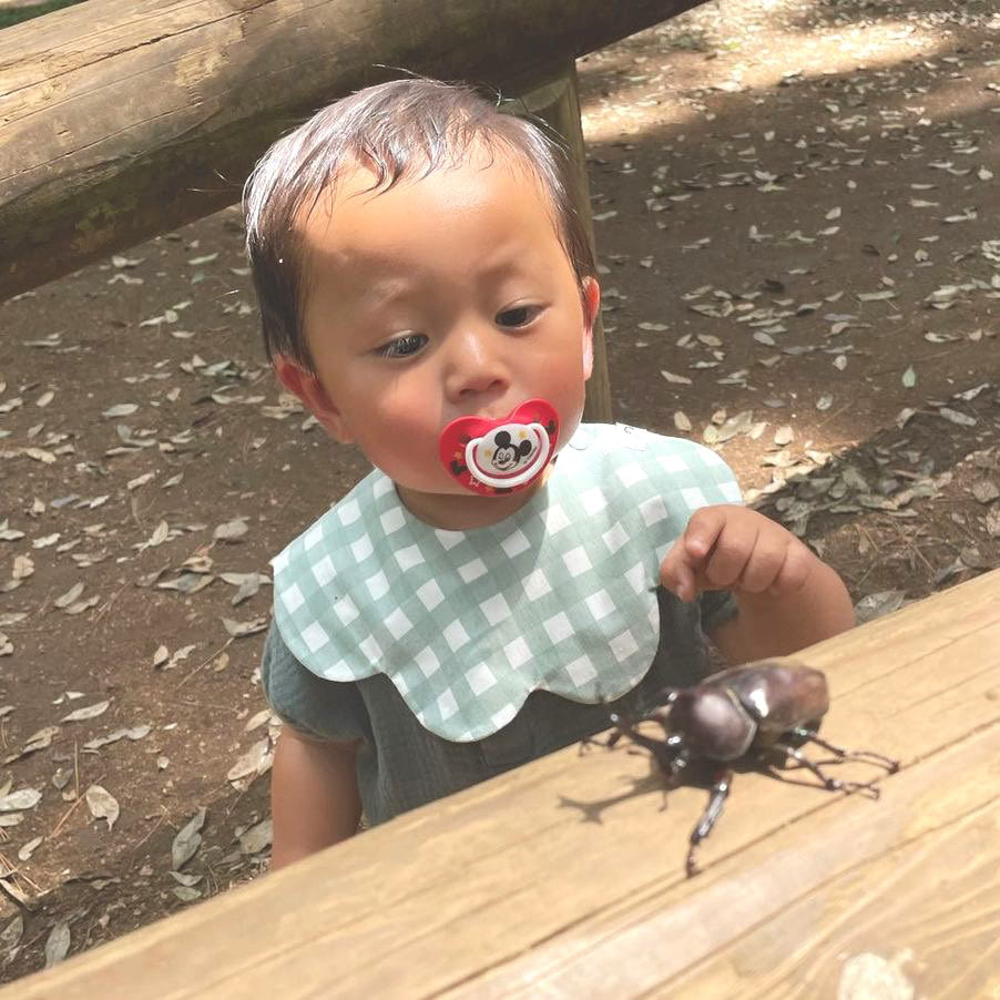 1歳