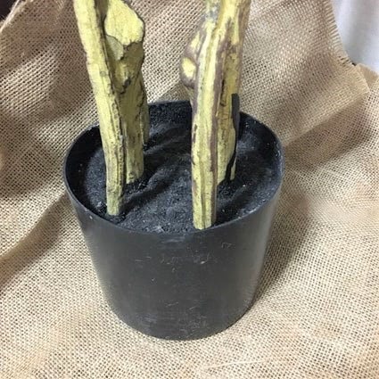 ニトリ　フィカス　鉢カバー
