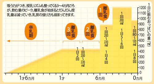 授乳回数と1日に飲む母乳の総量 グラフ