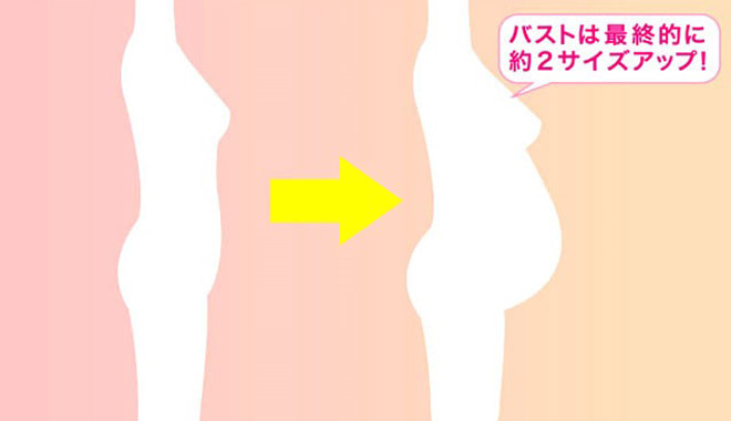 妊娠中~産後期のおっぱいケア