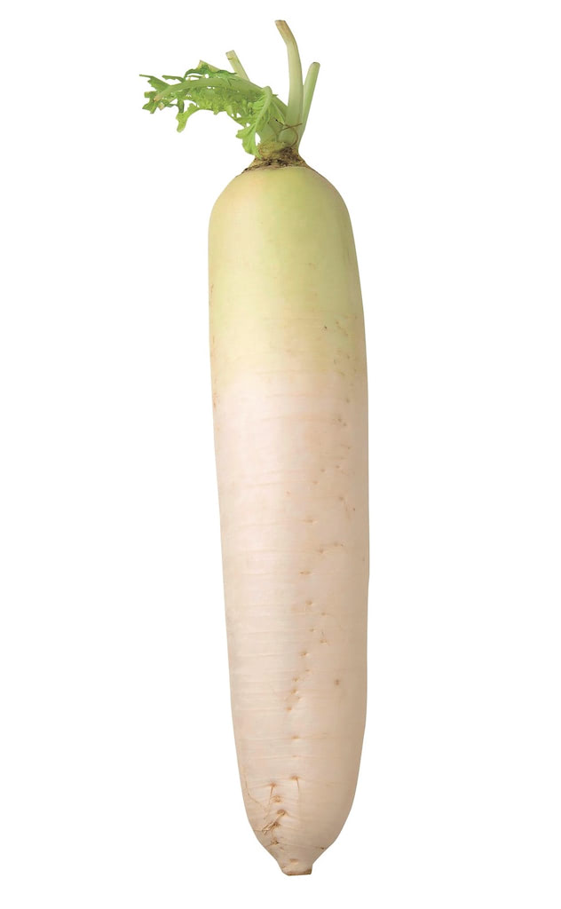 離乳食 大根