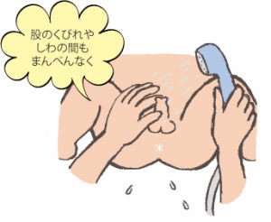 おちんちんの洗い方
