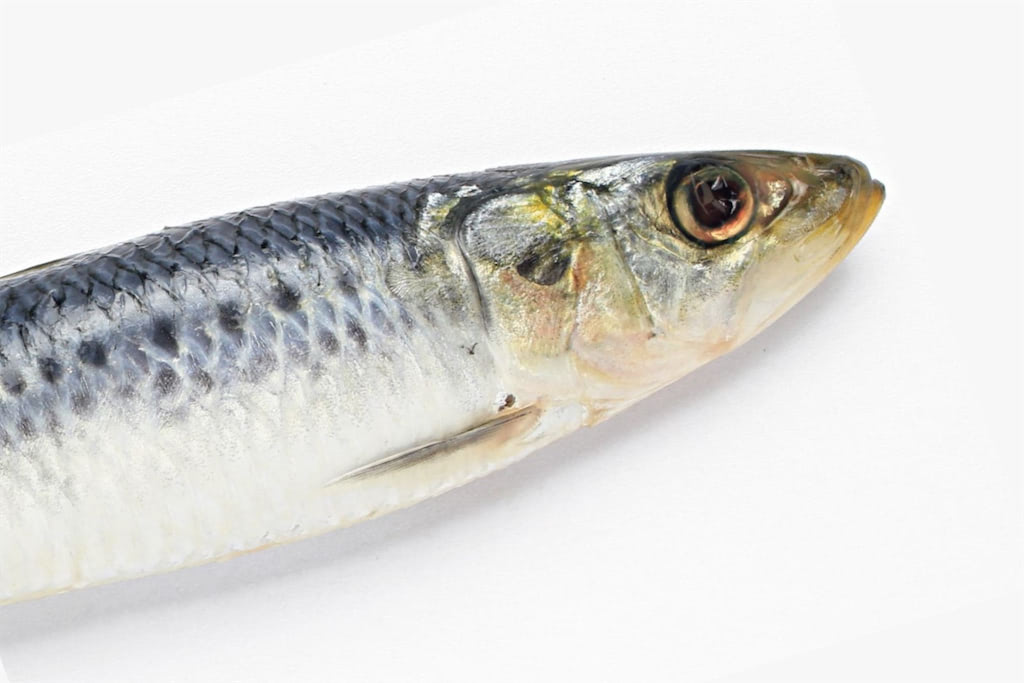 魚　下ごしらえ　離乳食