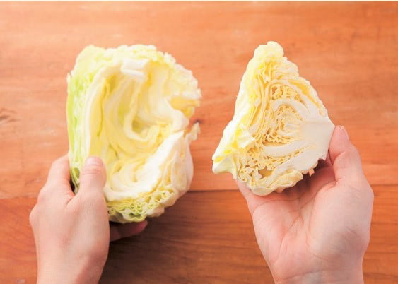 離乳食 キャベツ 白菜