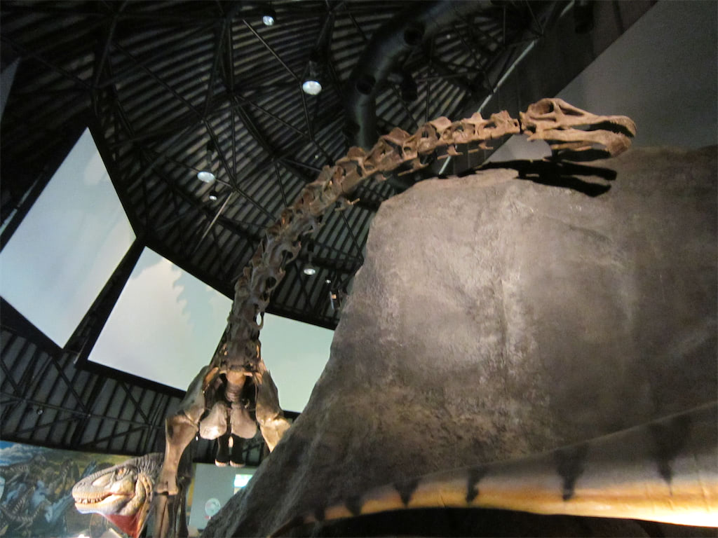 白山恐竜パーク白峰_恐竜館