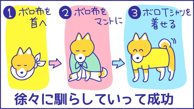あらいぴろよ