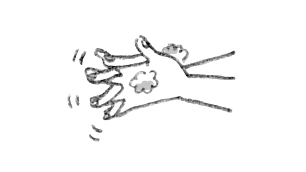 正しい手洗いの手順⑤