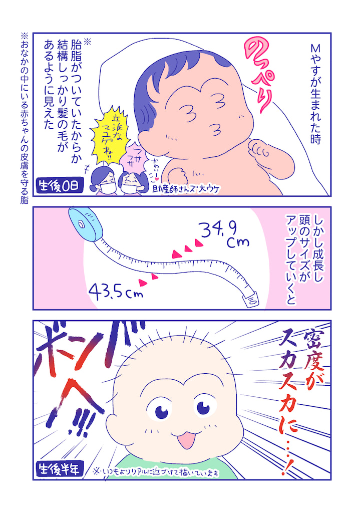 ぴろよの部屋47-1