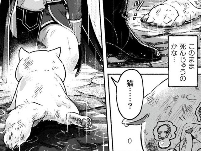 どうして私、こんな姿になっちゃったの…！？誰か助けて…！【根暗騎士による溺愛満喫中のブサ猫、実は聖女です！#1】