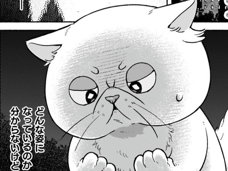 やっぱり私「猫」になってるのね。だけどなぜ彼女が”あんなもの”を持っていたの…？【根暗騎士による溺愛満喫中のブサ猫、実は聖女です！#15】