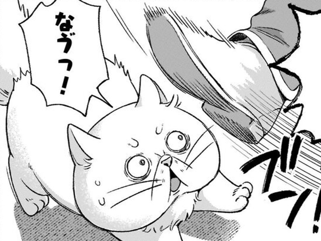 ここは私の「家」なのに…！門番にまさかの理由で追い返されて…！？【根暗騎士による溺愛満喫中のブサ猫、実は聖女です！#16】