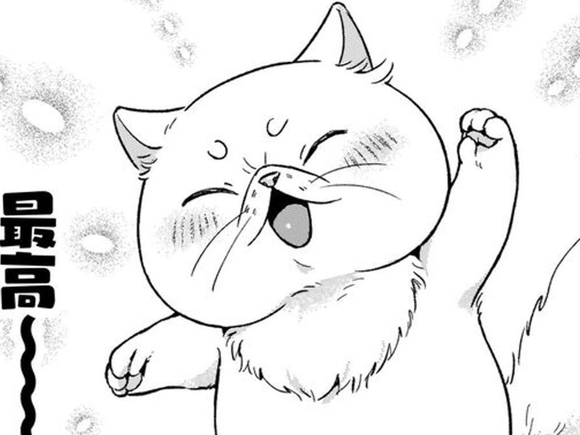 すごい…こんなの初めて！『ブサ猫』最高ーー！！【根暗騎士による溺愛満喫中のブサ猫、実は聖女です！#18】