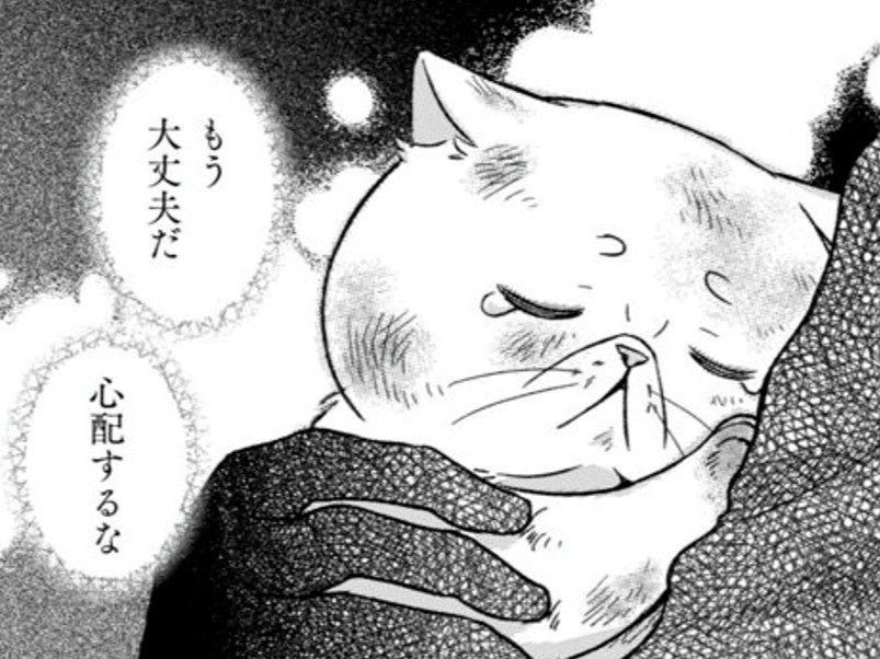 ボロボロになった私を助けてくれた”根暗騎士”。彼の正体はなんと…！！【根暗騎士による溺愛満喫中のブサ猫、実は聖女です！#19】