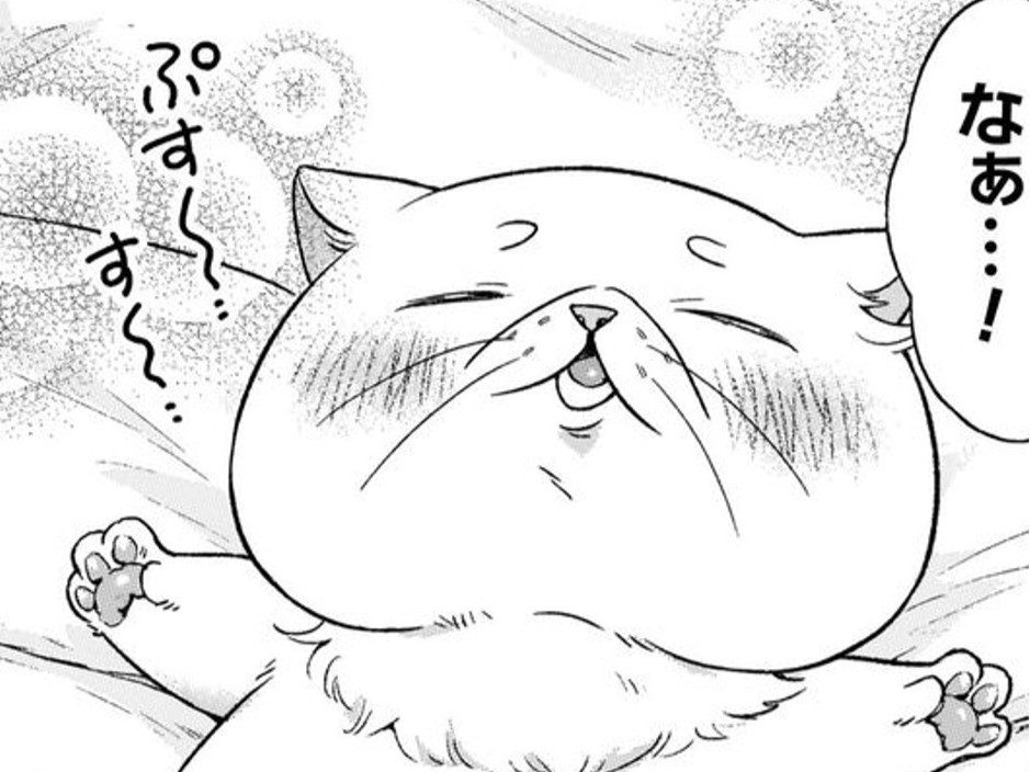 幸せすぎる…やさしくてイケメンな騎士さまにお世話されて…♡【根暗騎士による溺愛満喫中のブサ猫、実は聖女です！#22】