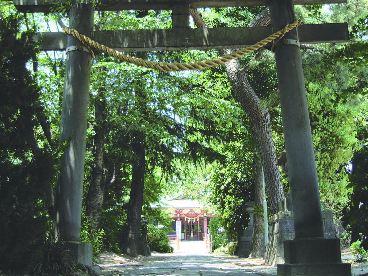 さまざまな縁を授けてくれる〈絵馬掛け大銀杏〉があります【越谷香取神社】