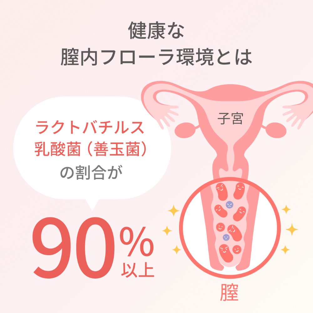 明治マイラクト