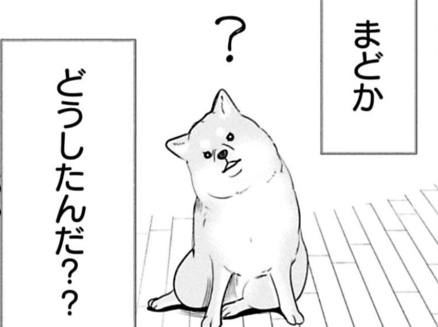 最近なんだか、まどかが怖い…。〈夫からの提案〉も断固拒否。一体何が起きたんだ？【ちくわ戦記#12】