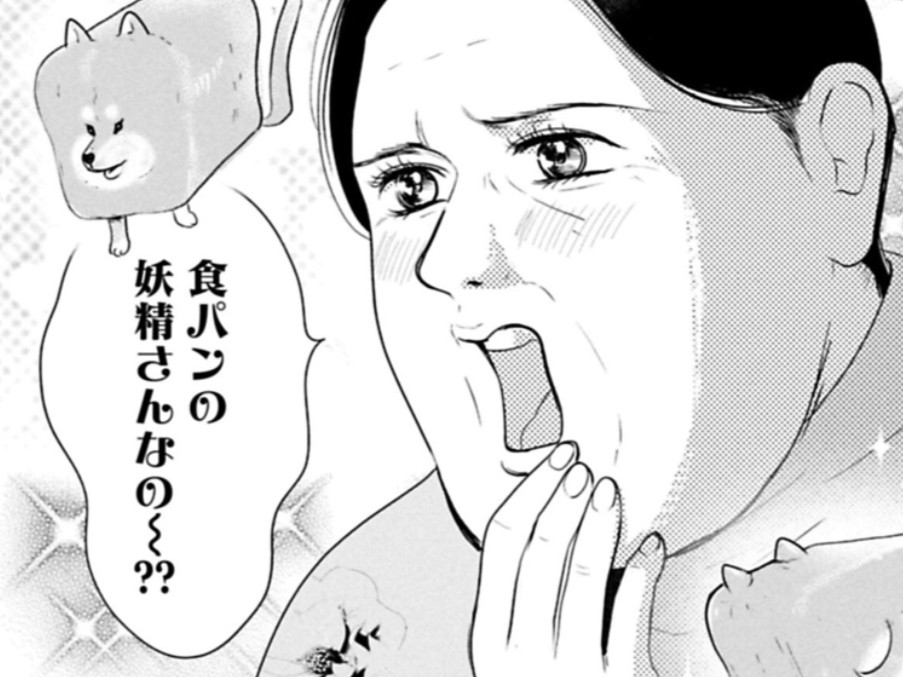 “食パンの妖精さん”…って俺のこと！？とりあえず威嚇しとけ！！すると義母は語り出した…【ちくわ戦記#24】