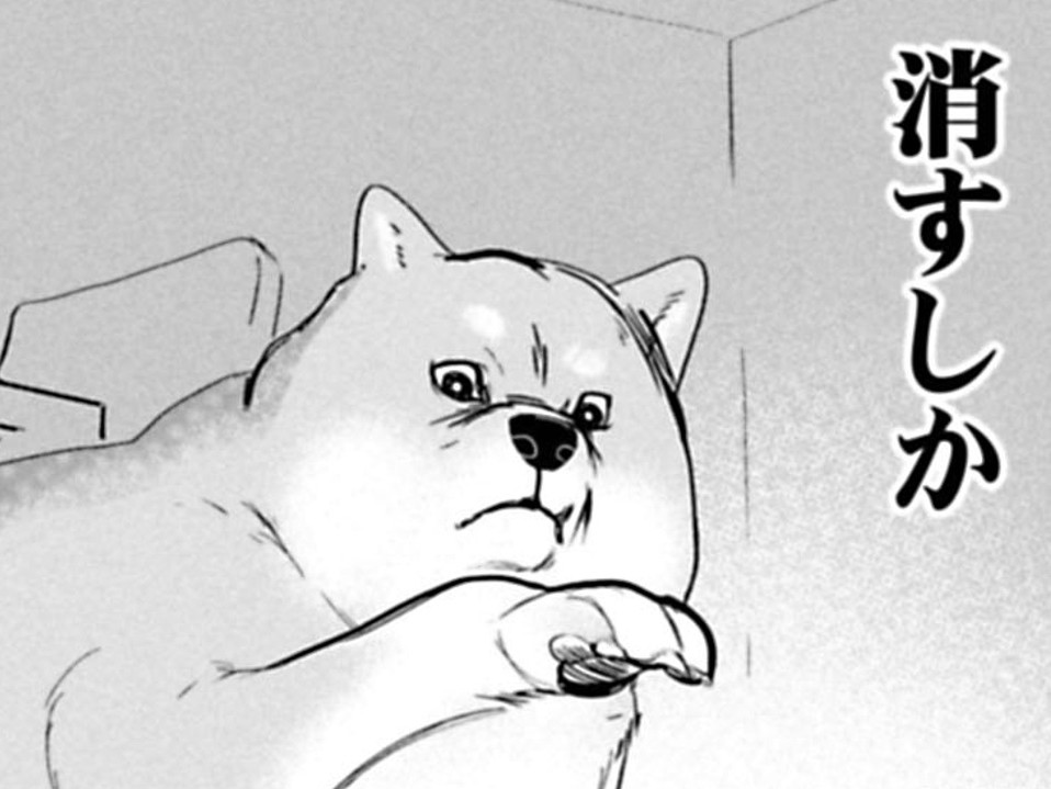 俺、ぜんぜんかわいがられてない。だったらもう「こうする」しかない…【ちくわ戦記#9】