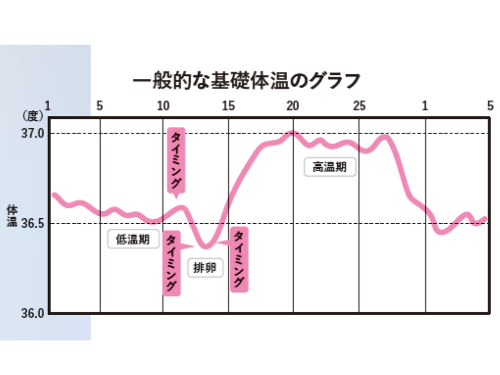 基礎体温