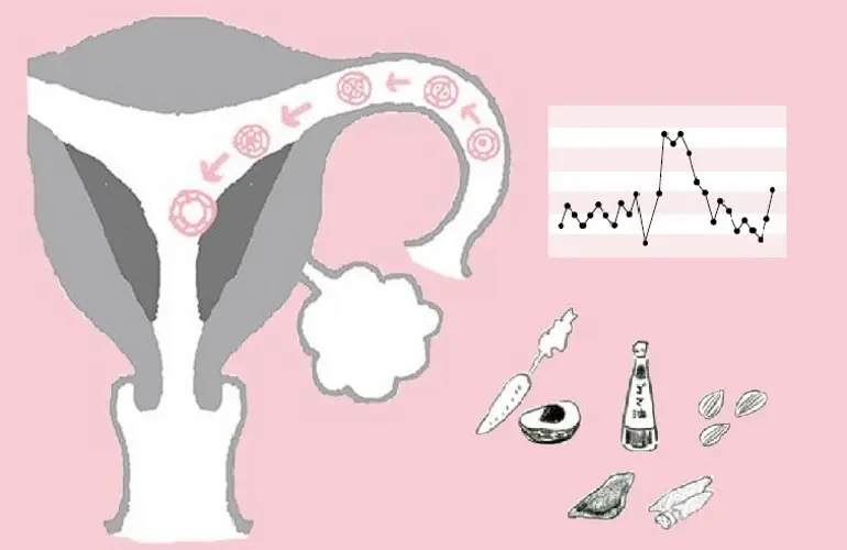 黄体ホルモンが少ない？『黄体機能不全』をどこよりも詳しく解説【不妊治療専門医監修】