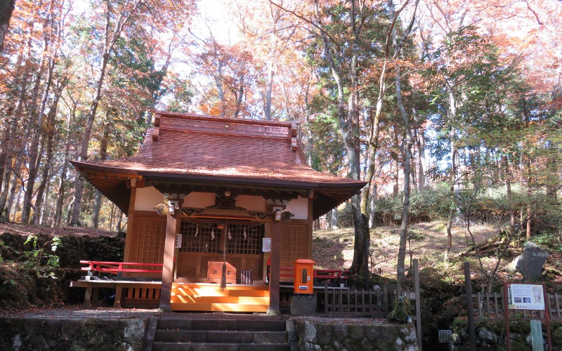 神秘的！富士山の噴火によって生まれた超子宝スポットへ行ってみよう！人体の内部に似ている？「御胎内」って？【静岡県の子宝＆パワースポット】