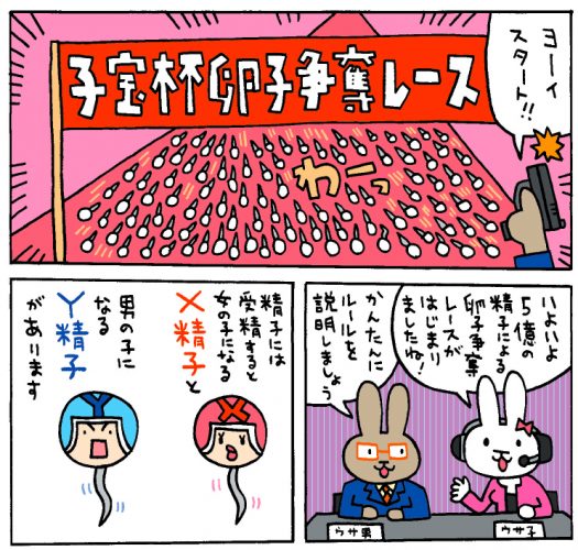 女の子が欲しい！医学的根拠に基づいた産み分けポイントを解説します 【産婦人科医監修】