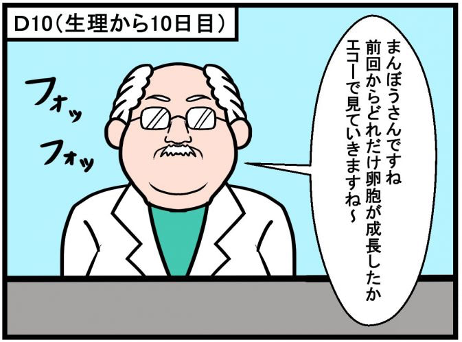 病院指導のタイミング法スタート！卵胞が育たない？大丈夫なの…？／不妊治療記ロード・オブ・ザ・ベビー＃２