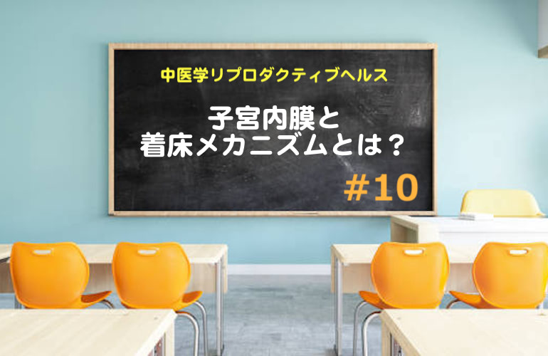 子宮内膜と着床メカニズムとは？【中医学リプロダクティブヘルス】集中特訓＃10
