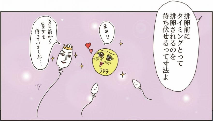 卵子と精子が出会えるタイミングは５日間だけ!?避妊しなければ妊娠できると思っていませんか？【不妊治療専門医監修】