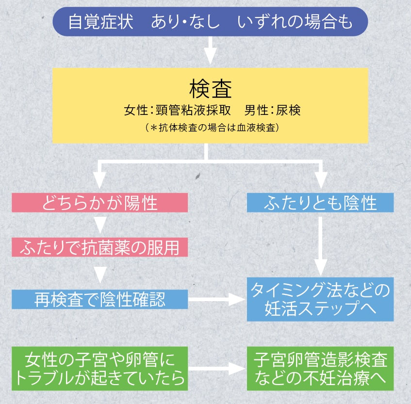 図解:クラミジア感染症、治療までの流れ