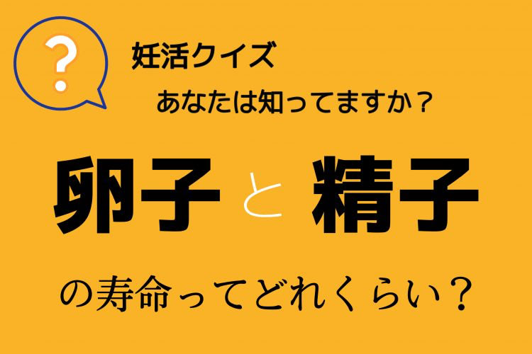 【クイズで出題！】卵子と精子の寿命って、どれくらい？意外と知らない妊娠のヒミツ。あなたは答えられますか？