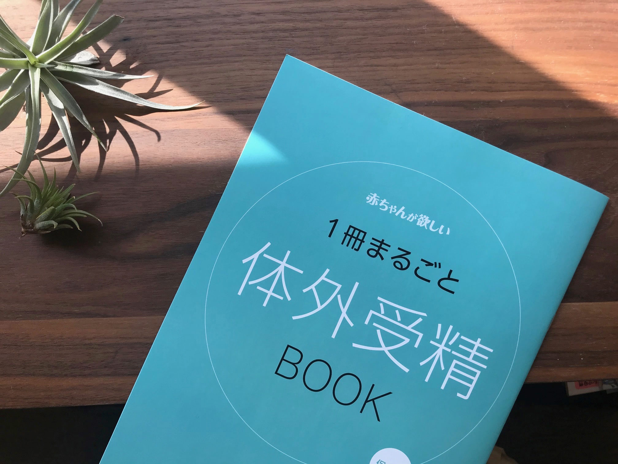体外受精で妊娠する確率はどのくらい？不妊治療のこと、ズバリ知りたい！